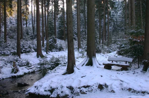 Storm New Year Starts Nwith Nice Greeting Nbea — Stock Photo, Image