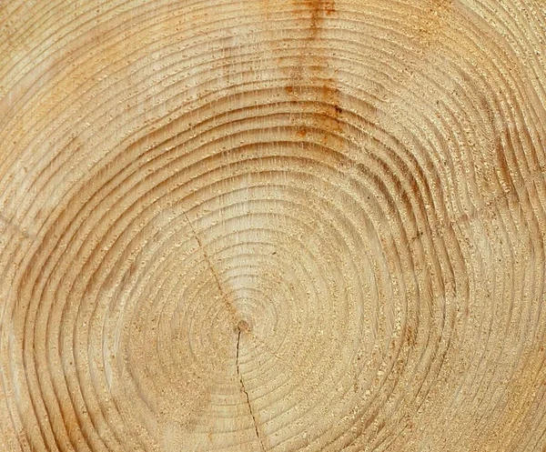 Drewniane Tło Tekstura Drewna — Zdjęcie stockowe