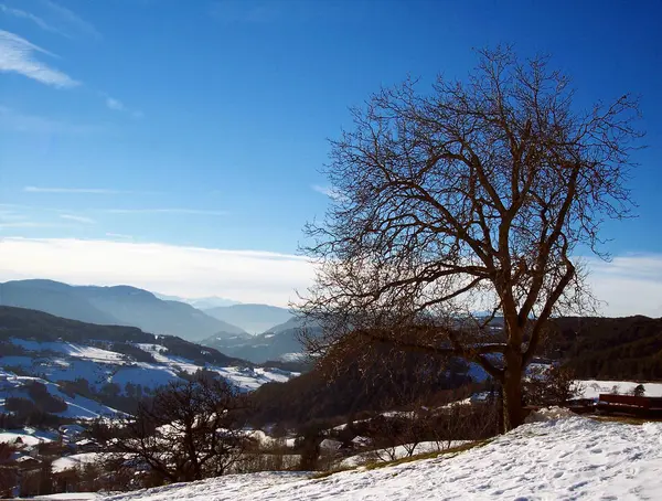 Vista Dell Alto Adige Alto Adige Una Provincia Del Nord — Foto Stock