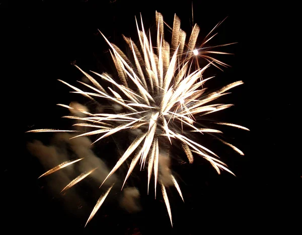 Fuegos Artificiales Explosión Cielo Nocturno Celebración Del Festival — Foto de Stock