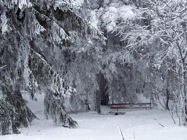 View Winter Scene — Stock Photo, Image