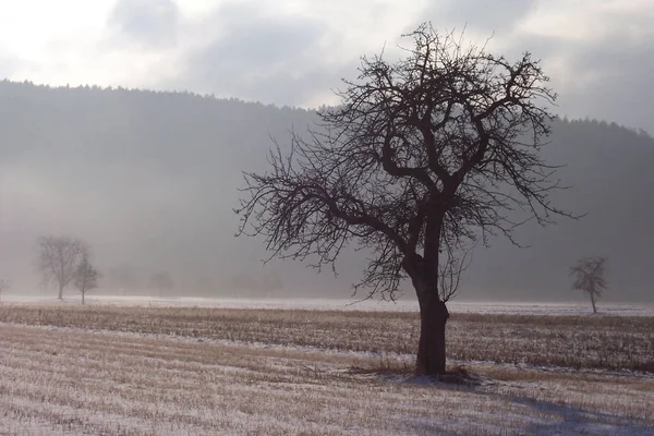 Vue Pittoresque Sur Les Paysages Campagne — Photo