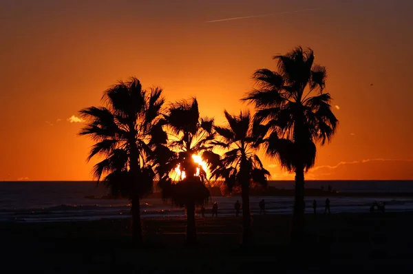 Beautiful View Warm Evening — Stock Photo, Image