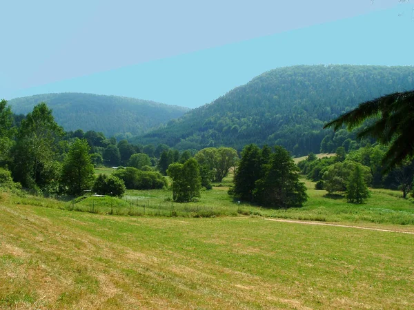 Foresta Bavarese Autunno — Foto Stock