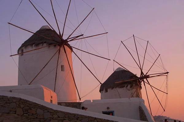 Point Repère Île Cycladique Mykonos Des Maisons Blanches Pélican Ces — Photo