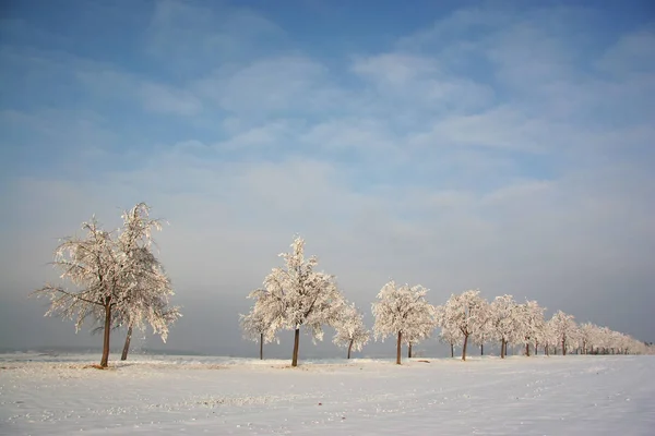 Hermosa Vista Del Paisaje Invierno —  Fotos de Stock