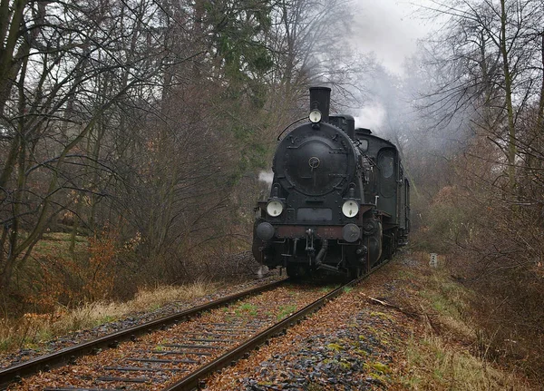 Locomotive Vapeur Sur Chemin Fer — Photo
