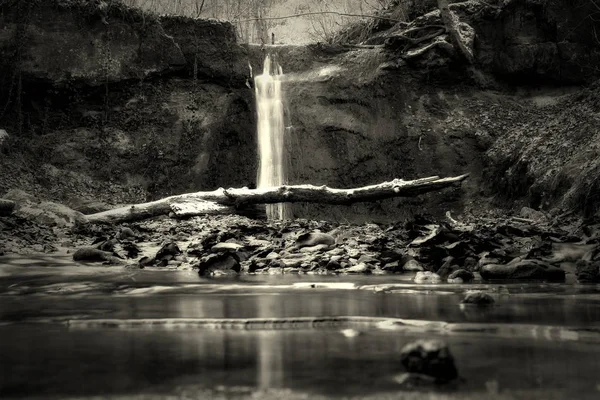 Nature Flore Cascade Débit Eau — Photo