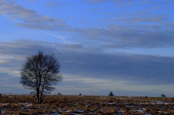 Prachtig Uitzicht Het Platteland — Stockfoto