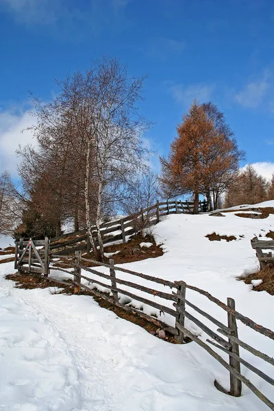 Vista Del Tirol Del Sur Alto Adigio Una Provincia Noreste — Foto de Stock