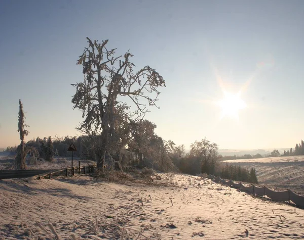 Uitzicht Een Winterse Scène — Stockfoto