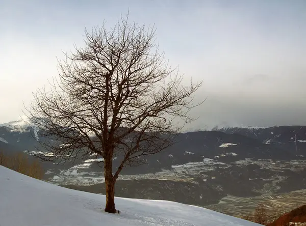 Vista Panoramica Sulla Campagna Attenzione Selettiva — Foto Stock