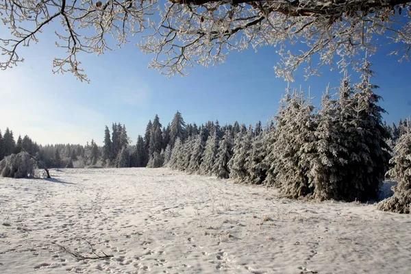 Όμορφο Χιονισμένο Χειμερινό Τοπίο — Φωτογραφία Αρχείου
