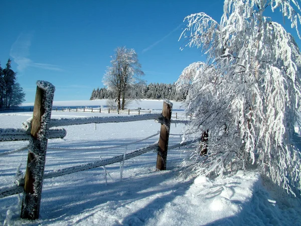 Красивый Снежный Зимний Пейзаж — стоковое фото