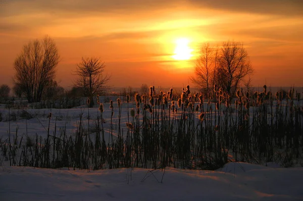 아름다운 겨울날 끝나가네 — 스톡 사진