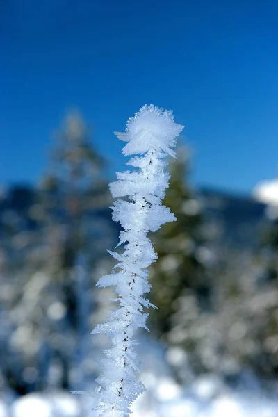 Fond Coloré Pour Noël Nouvelle Carte Vacances Année — Photo