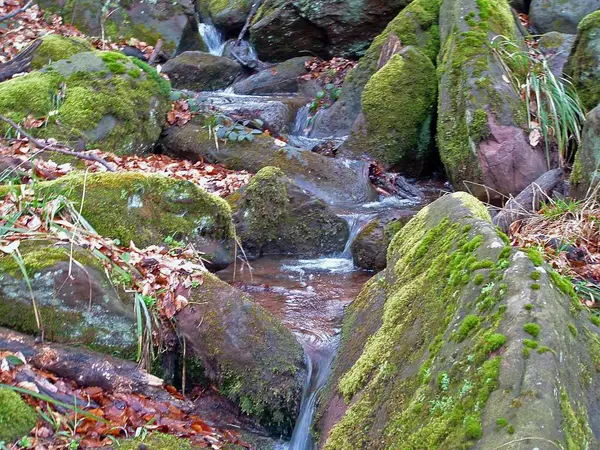 Prachtig Uitzicht Natuur Scene — Stockfoto