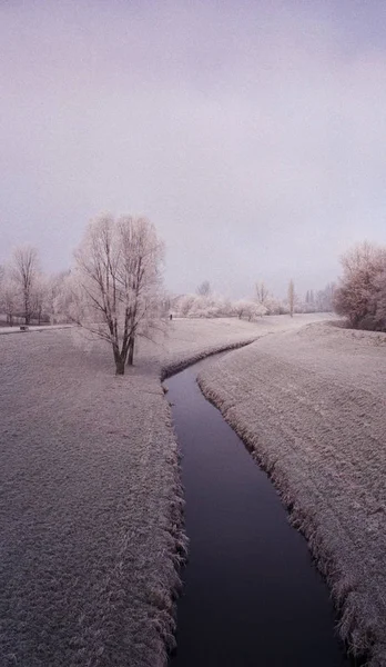 Abstractie Van Elementen Water Ontsnapt Naar Hemel Wind Vangt Takken — Stockfoto