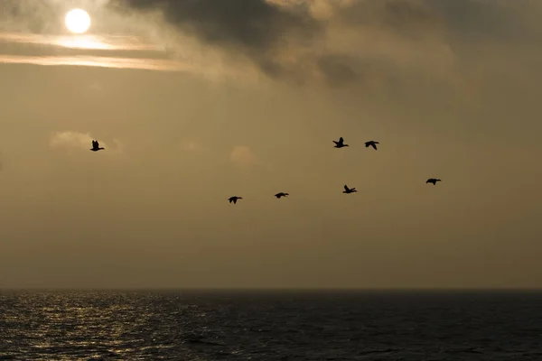 Chaque Jour Férié Est Malheureusement Notre Temps Sur Juist Été — Photo