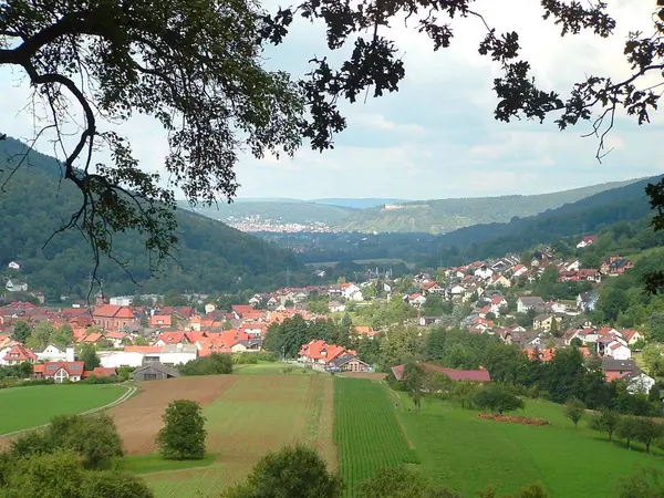 Bayerska Skogen Hösten — Stockfoto