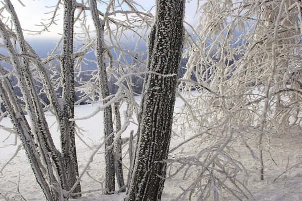 Прекрасний Вид Зимовий Пейзаж — стокове фото