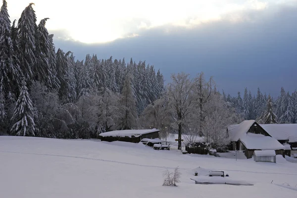 Beautiful View Winter Landscape — Stock Photo, Image