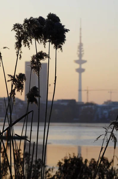 Marine Szene Außenaufnahmen — Stockfoto