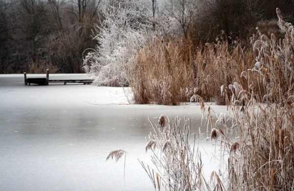 Vista Una Escena Invierno — Foto de Stock