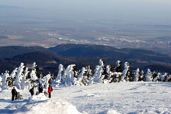 Malerischer Blick Auf Die Landschaft Selektiver Fokus — Stockfoto