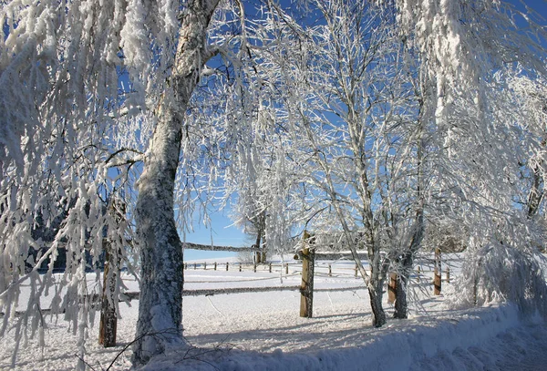 Bunter Hintergrund Für Weihnachten Oder Neujahr Urlaubskarte — Stockfoto