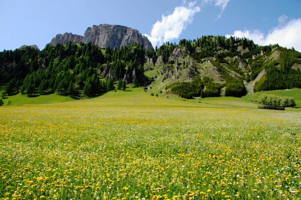 Piękny Krajobraz Gór Dolomitów — Zdjęcie stockowe