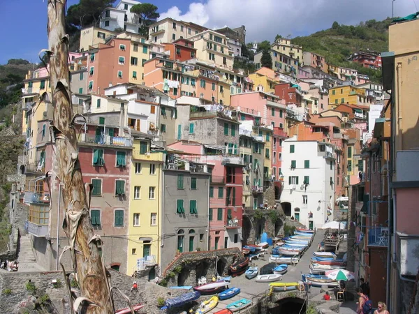 Riomaggiore Afrika Kıtasında Bulunan Spezia Devletinde Bir Şehirdir — Stok fotoğraf