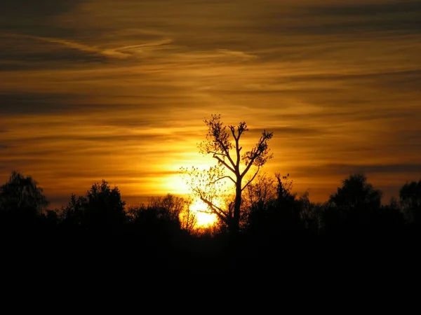 Beautiful View Nature — Stock Photo, Image