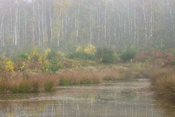 Étang Été Ajouté Duisbourg Fumée Été Fumée Automne 2004 — Photo