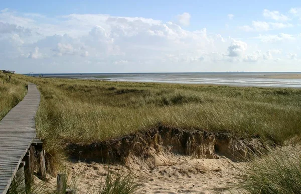 Malerischer Blick Auf Dünen Selektiver Fokus — Stockfoto