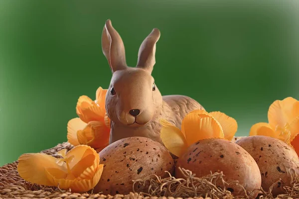 緑の草の上でウサギと卵をイースター — ストック写真
