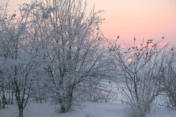 Vacker Utsikt Över Vinterlandskapet — Stockfoto