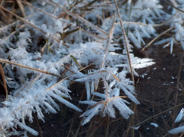 Det Alltid Fantastiskt Vad Frosten Gör Skapade För Struktur — Stockfoto