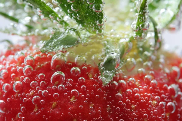 Bayas Rojas Frescas Agua —  Fotos de Stock