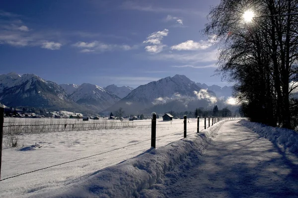 Krásná Zasněžená Zimní Krajina — Stock fotografie