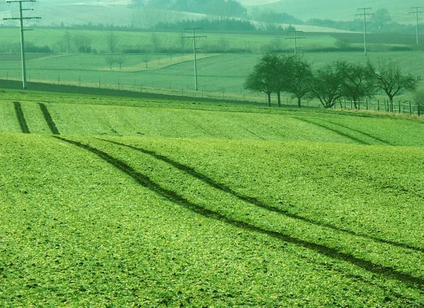 Lauter Green Lines Tracks Field Fences Way Nit Taken Hill —  Fotos de Stock