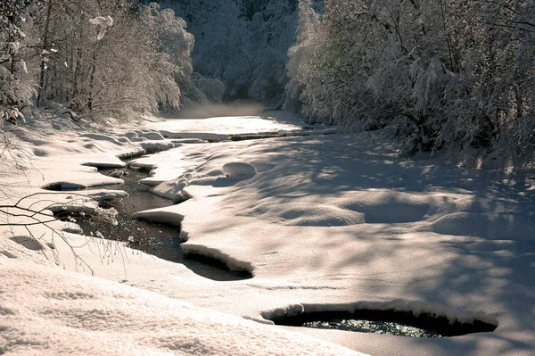 Beautiful View Nature Scene — Stock Photo, Image