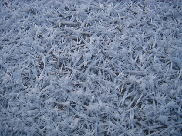 Кристали Льоду Зимові Морози — стокове фото