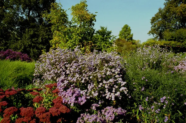 Potsdamer Freundschaftsinsel Een Tuin Vol Bloemen Analoge Foto Canon Eos — Stockfoto