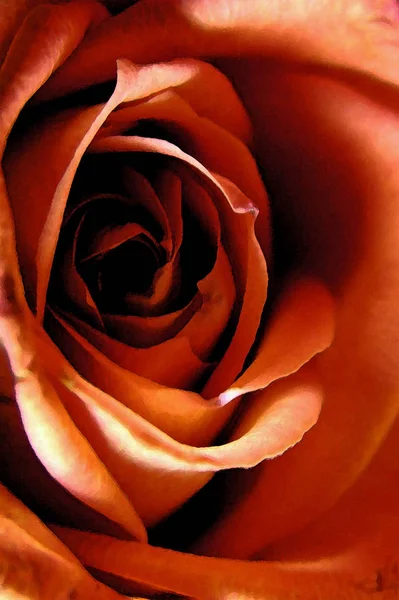 Gros Plan Pétales Rose Rouge — Photo