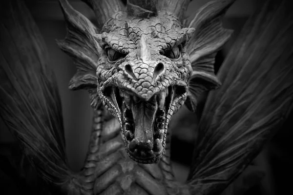 Череп Дракона — стокове фото