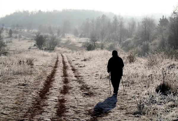 Omul Mergând Pădure — Fotografie, imagine de stoc