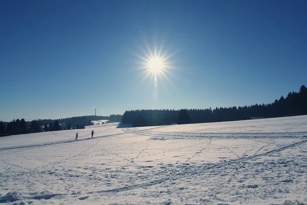 Paisagem Inverno Com Árvores Cobertas Neve — Fotografia de Stock