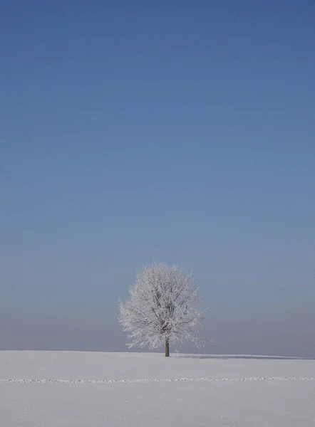 Fond Coloré Pour Noël Nouvelle Carte Vacances Année — Photo