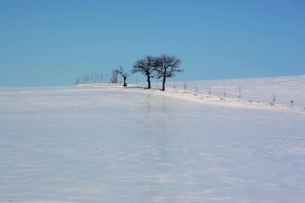 Ghiaccio Chiuso Spessore Placcato Oggi Campi Questo Paesaggio — Foto Stock